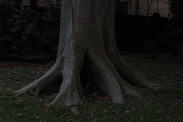 © Federica Baruffi - Image from the Nature is only a zoo photography project
