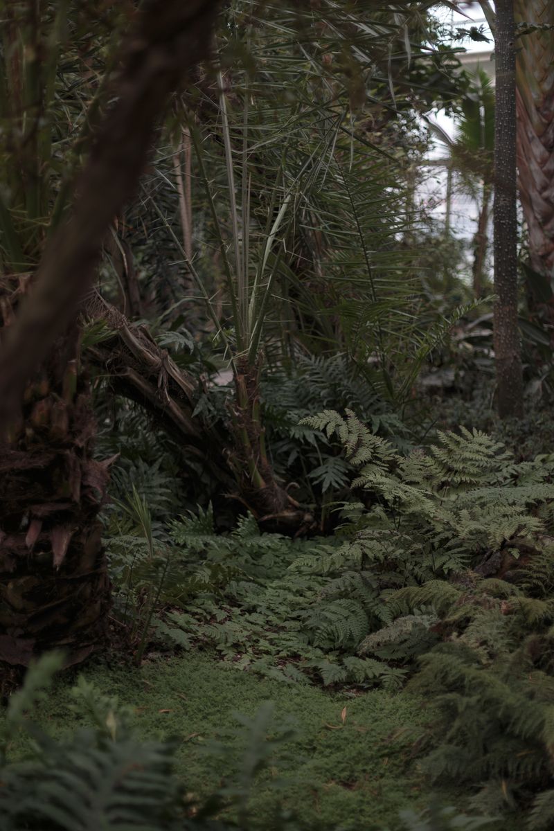 © Federica Baruffi - Image from the Nature is only a zoo photography project
