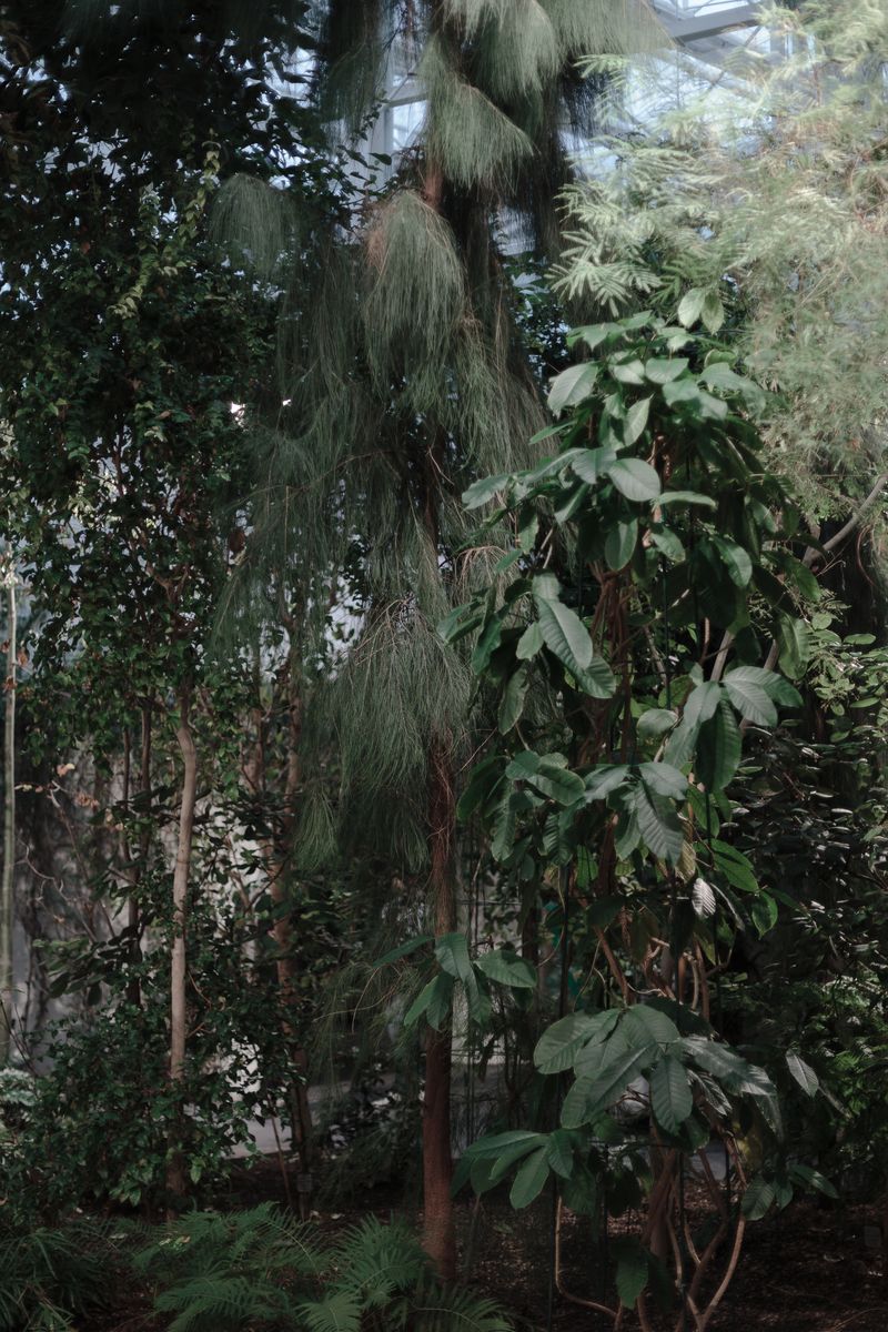 © Federica Baruffi - Image from the Nature is only a zoo photography project