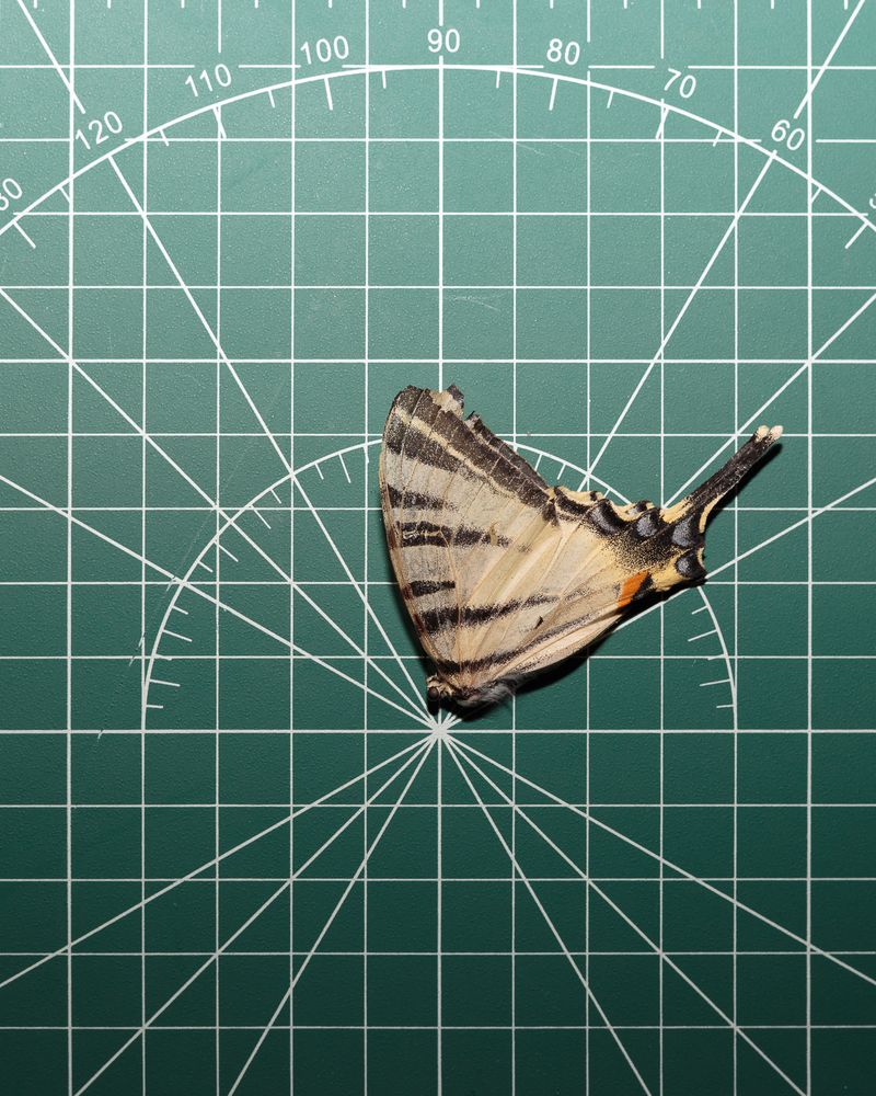 © Federica Baruffi - Image from the L.I.M.B.O. photography project