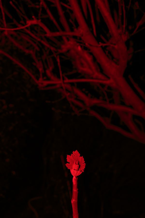 © Federica Baruffi - Image from the L.I.M.B.O. photography project