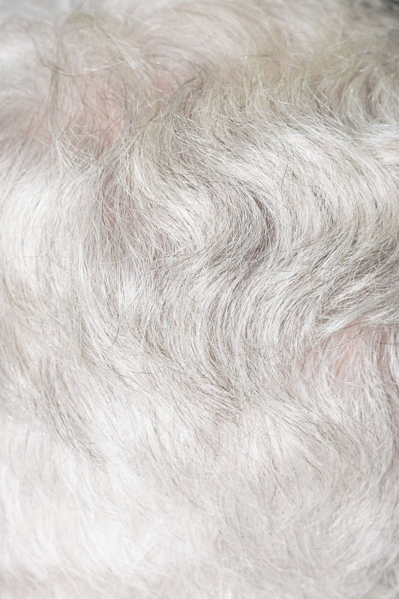 © Federica Baruffi - Image from the Organised Chaos photography project
