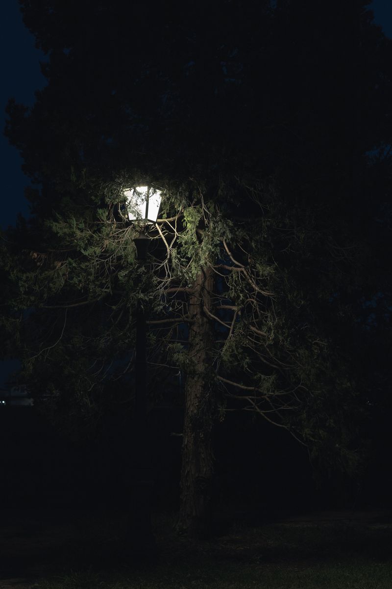 © Federica Baruffi - Image from the Organised Chaos photography project