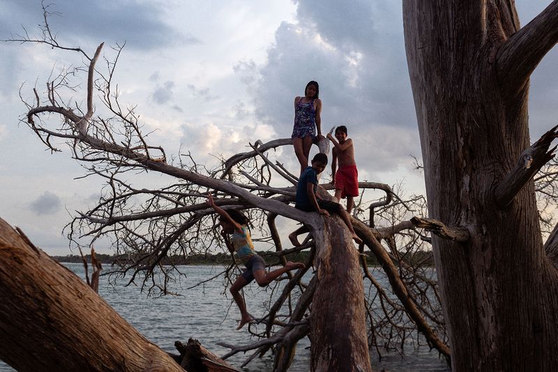 © Rachel Fleischman - A group of young children playing in the dead trees in the inlet. (2025)