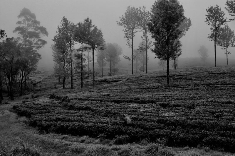 © Aurore Rivoalan - Image from the Noir et Blanc, silencieux et bruyant photography project