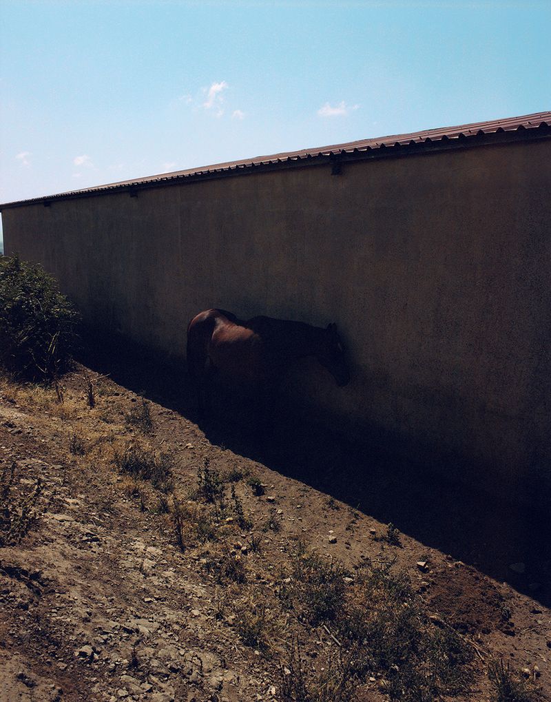 © Federica Falcone - Image from the Carabidda photography project