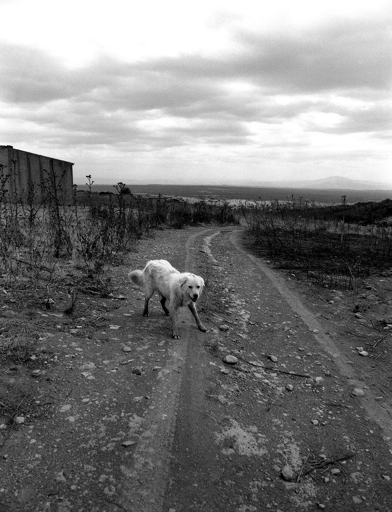 © Federica Falcone - Image from the Carabidda photography project