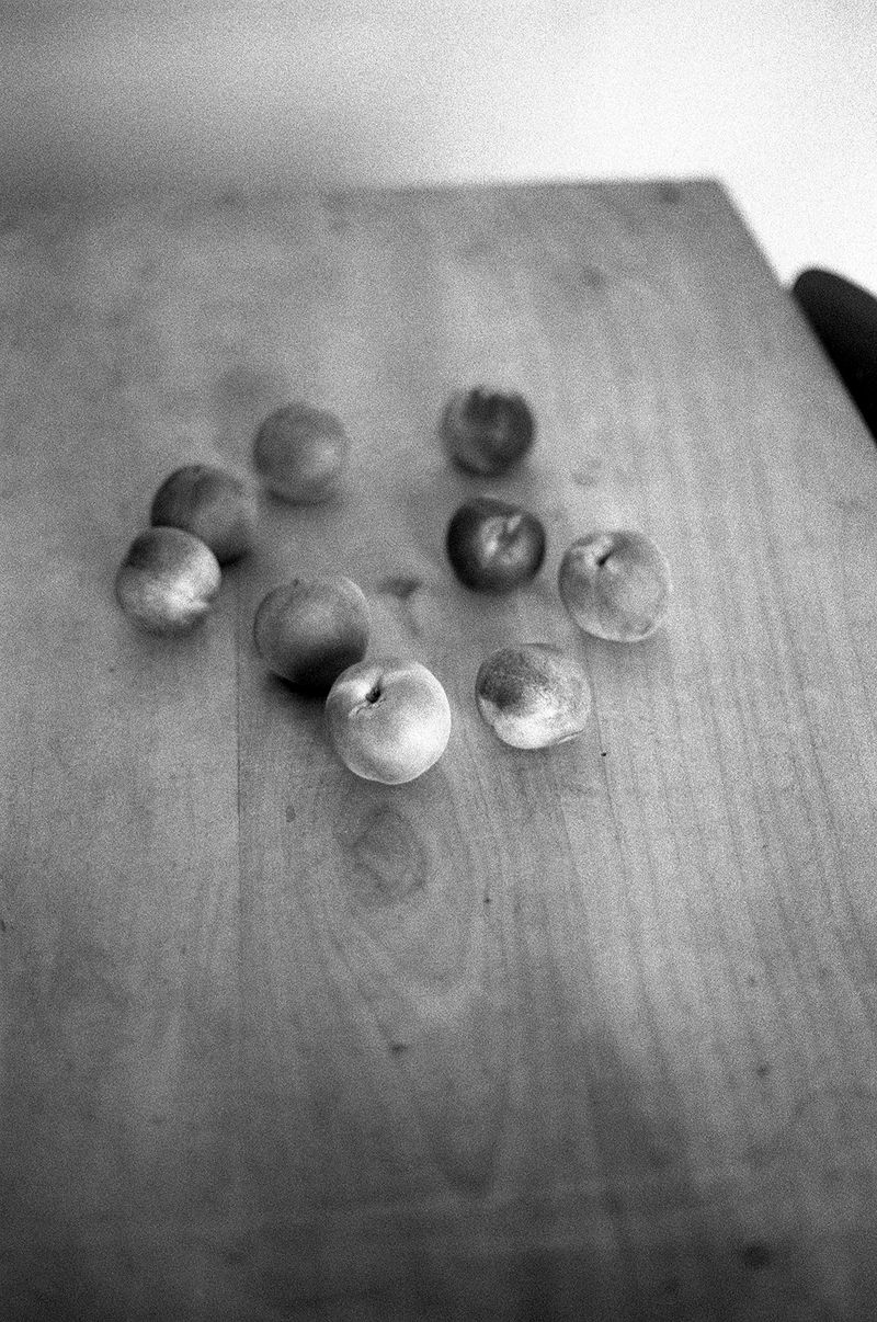 © Federica Falcone - Image from the La mora e il cavallo photography project