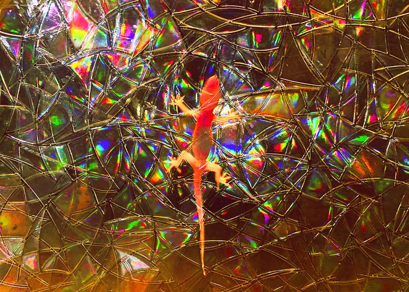 © Anamika Chowdhury - Image from the In the Absence: Life Begins photography project