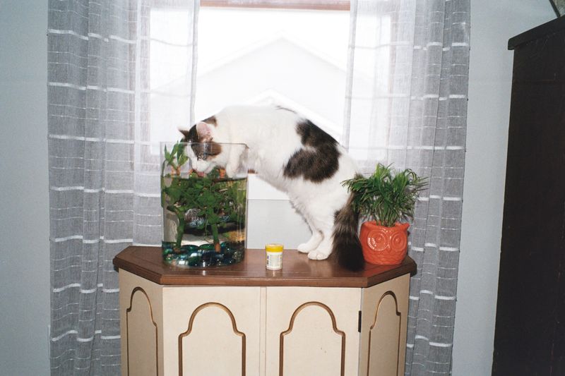 © Adali Schell - Image from the New Paris photography project