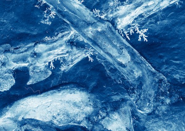 © Simon Sola Holischka - Archaeopteryx Lithographica, 11th specimen, detail of shoulder, thighbone, knee and caudal vertebra