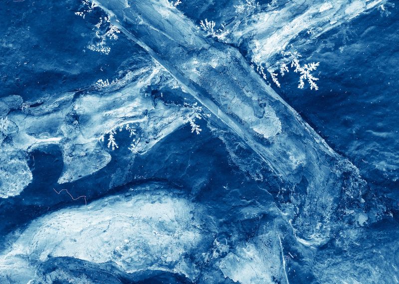 © Simon Sola Holischka - Archaeopteryx Lithographica, 11th specimen, detail of shoulder, thighbone, knee and caudal vertebra