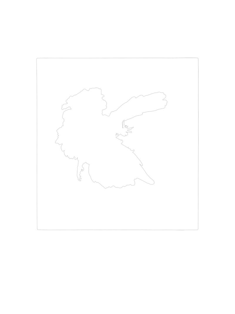 © Simon Sola Holischka - Archaeopteryx Lithographica, 11th specimen, outline of feathers and exposed surface