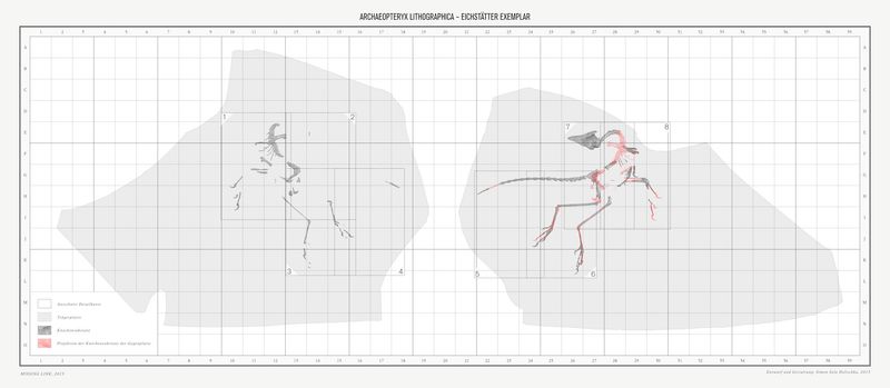 © Simon Sola Holischka - Image from the Missing Link photography project