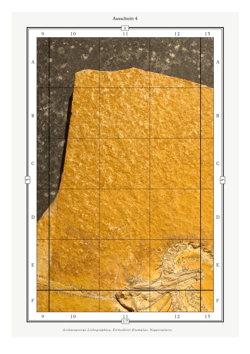 © Simon Sola Holischka - section 4: partial map based on main map of the Eichstätt specimen