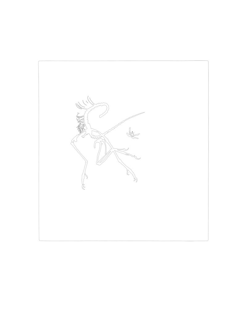 © Simon Sola Holischka - Archaeopteryx Lithographica, 11th specimen, outline of bone structure