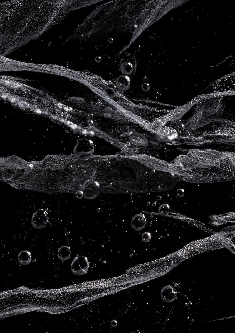 © suzette bousema - Greenland 2.4 From the project 'Climate Archive'