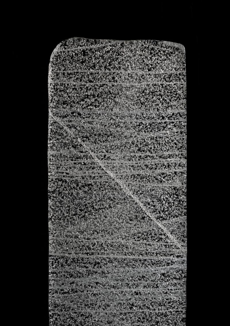 © suzette bousema - Antarctica 2