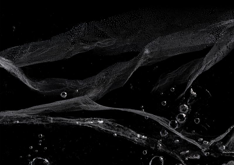 © suzette bousema - Greenland 2.2