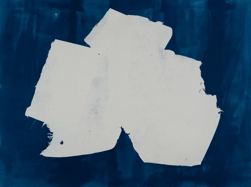 © suzette bousema - Future Relics no.5, 54,7 x 73,0 cm