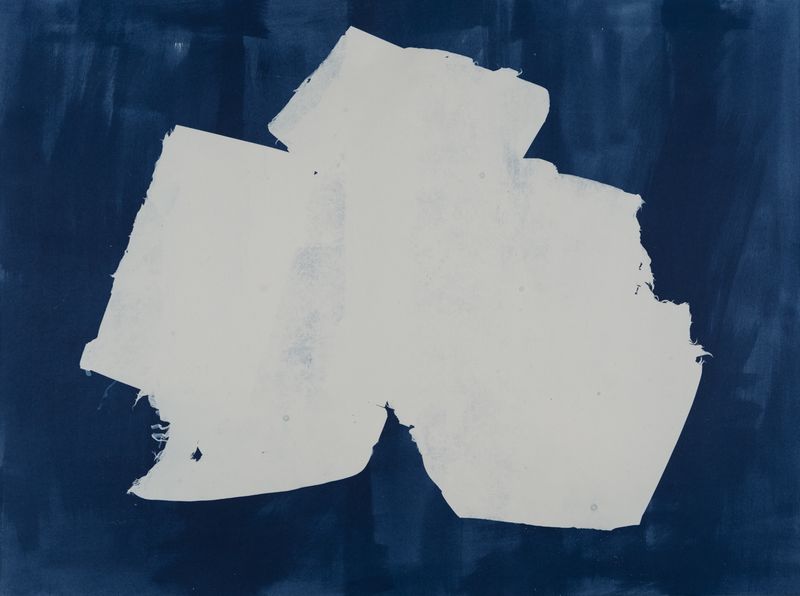 © suzette bousema - Future Relics no.5, 54,7 x 73,0 cm