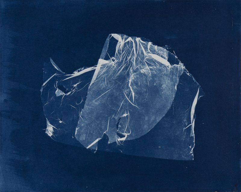 © suzette bousema - Future Relics no. 170, 24,0 x 30,2 cm