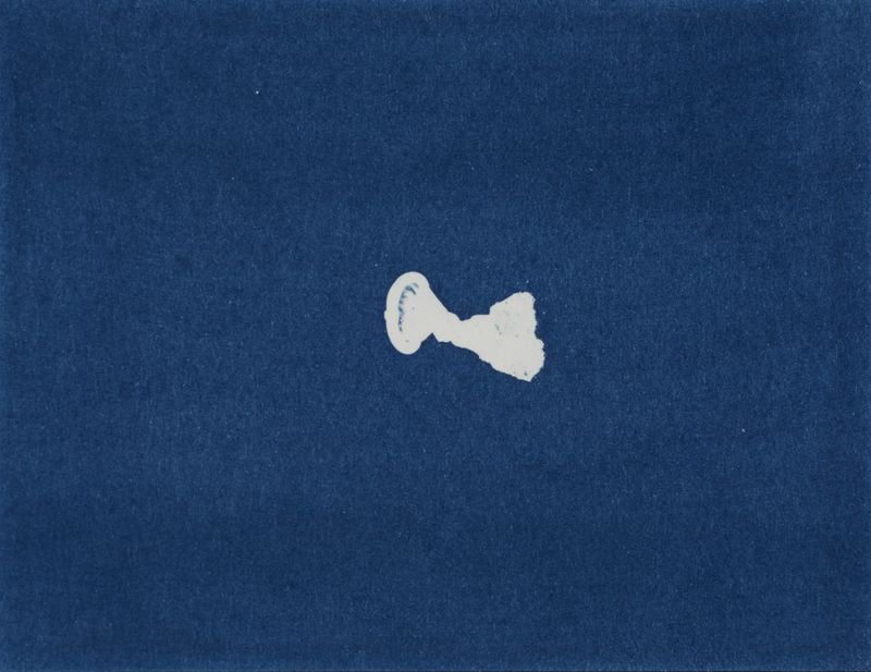 © suzette bousema - Future Relics no. 456, 11,3 x 14,6 cm