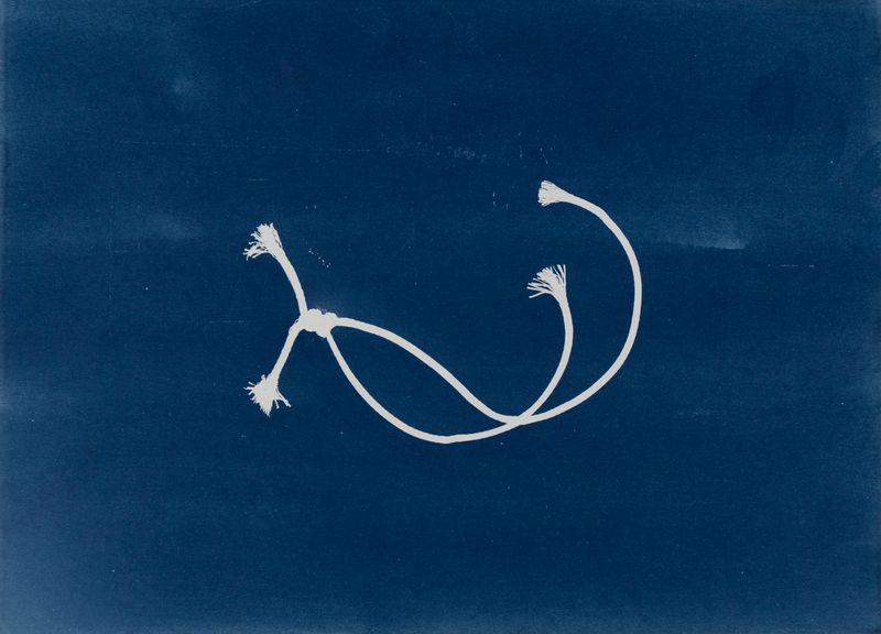 © suzette bousema - Future Relics no. 172, 26,5 x 36,3 cm