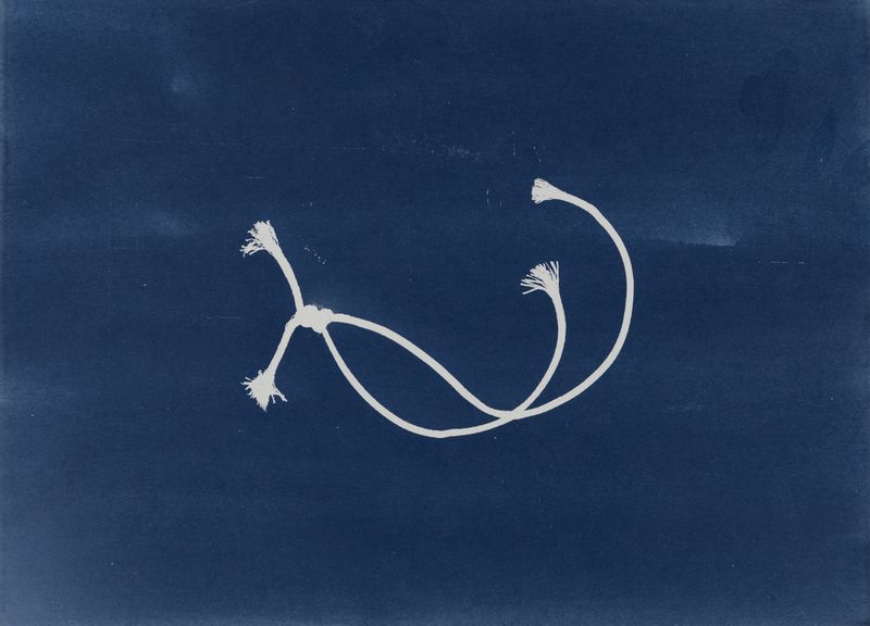 © suzette bousema - Future Relics no. 172, 26,5 x 36,3 cm