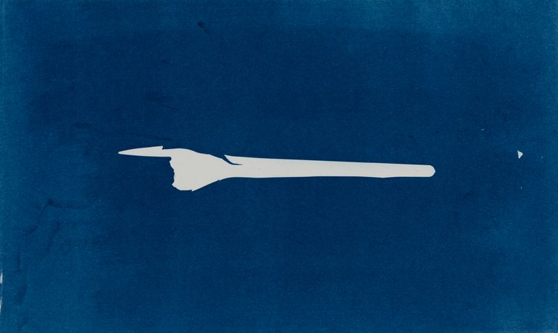 © suzette bousema - Future Relics no. 117, 17,8 x 29,7 cm