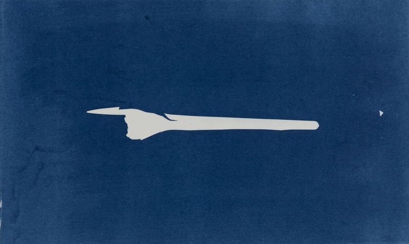 © suzette bousema - Future Relics no. 117, 17,8 x 29,7 cm