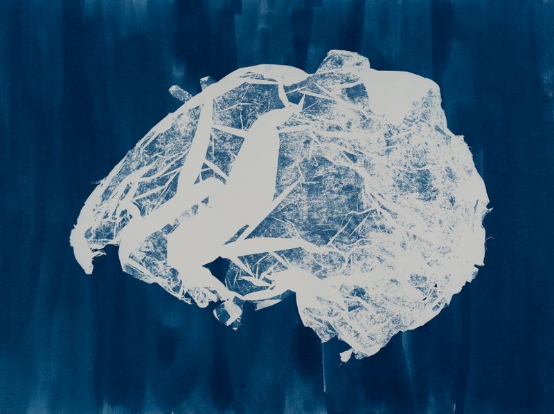 © suzette bousema - Future Relics no.1, 54,7 x 73 cm