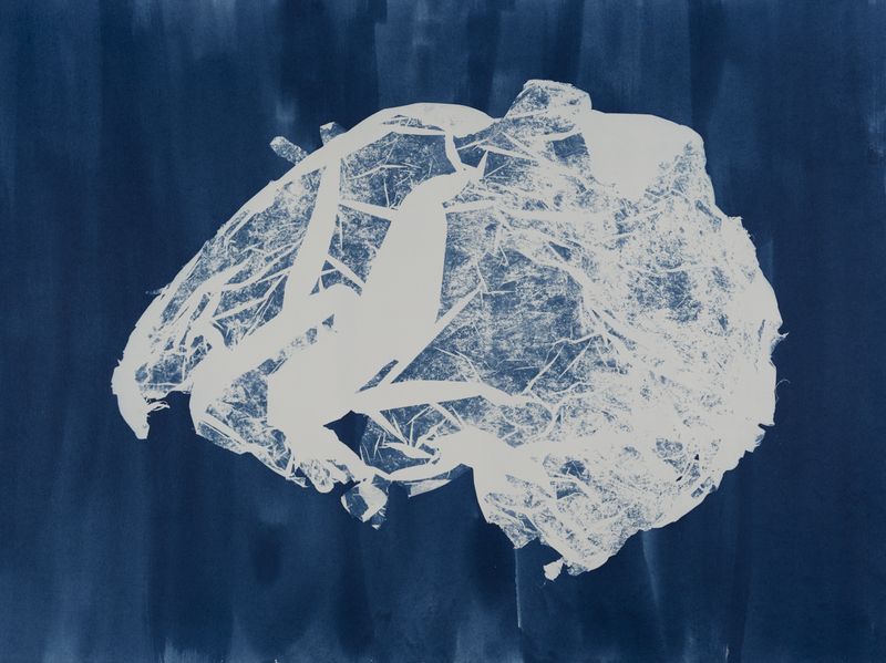 © suzette bousema - Future Relics no.1, 54,7 x 73 cm