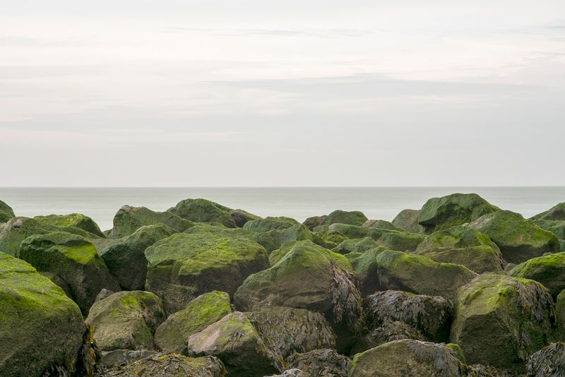 © Anne-Meike van Willegen - Coastline / Anne-Meike van Willegen