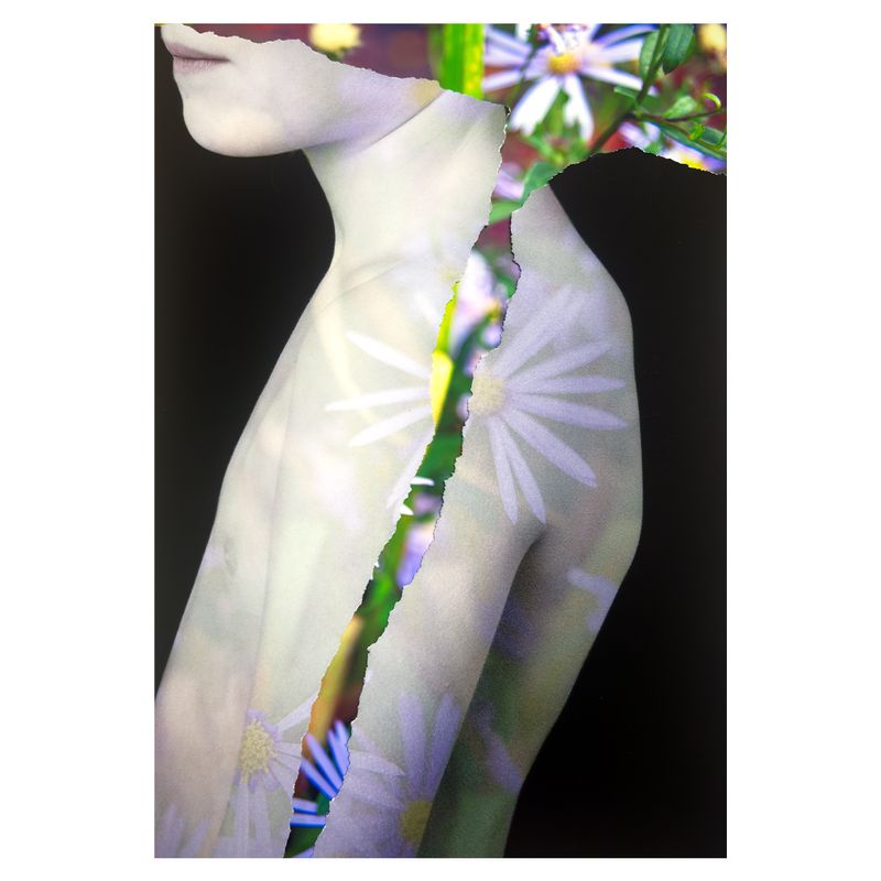 © Anne-Meike van Willegen - Image from the Beyond the skin photography project