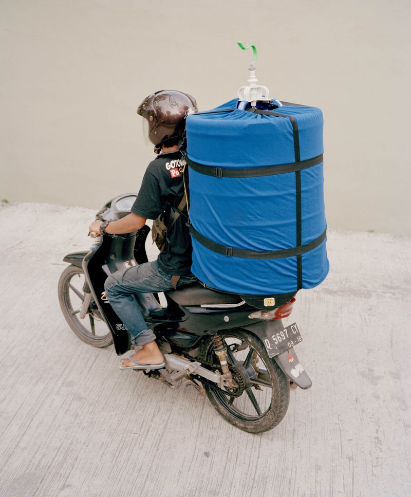 © Wilko Meiborg - Bird in a cage ready for transportation.