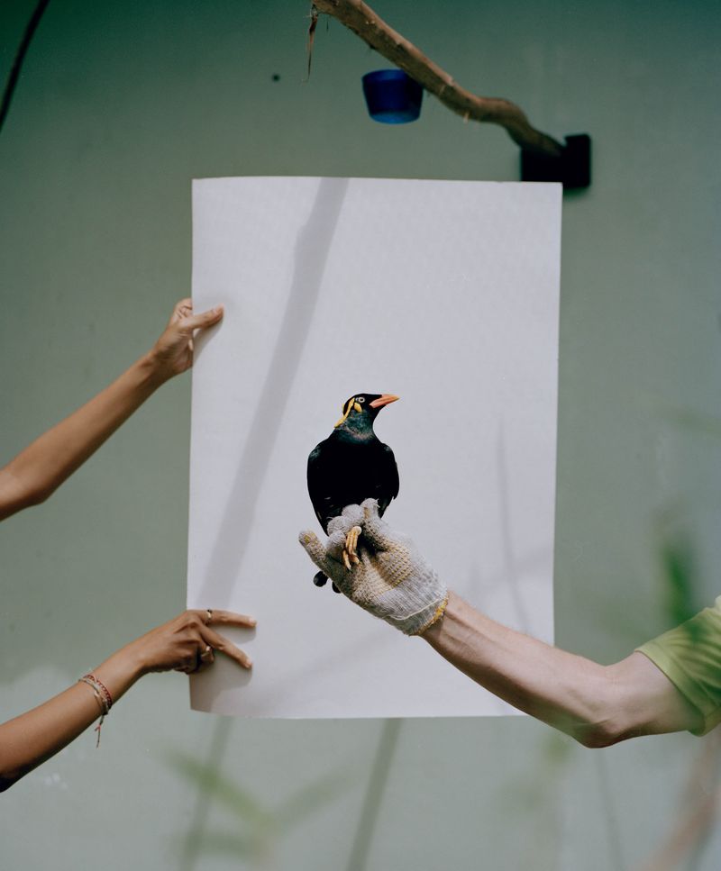 © Wilko Meiborg - Image from the Songmachine photography project