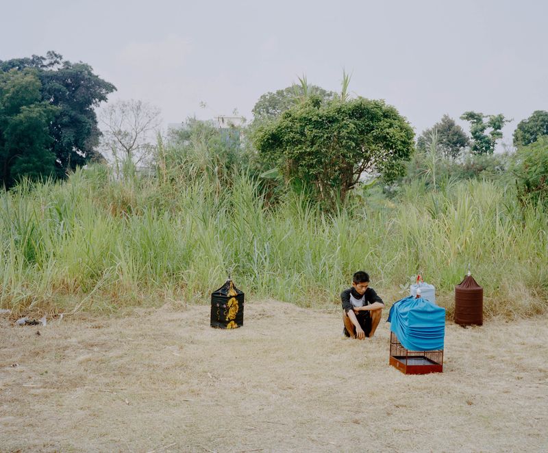 © Wilko Meiborg - Man looking at his bird during a songbird contest.