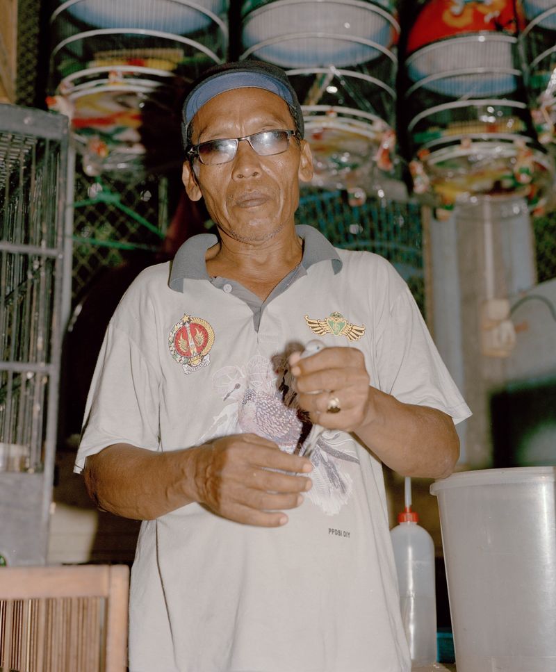 © Wilko Meiborg - Birdseller at a Market in Yogyakarta