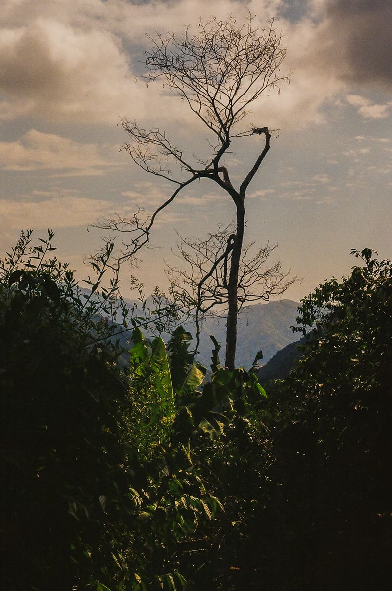 © matias cantella - Image from the Particulas photography project