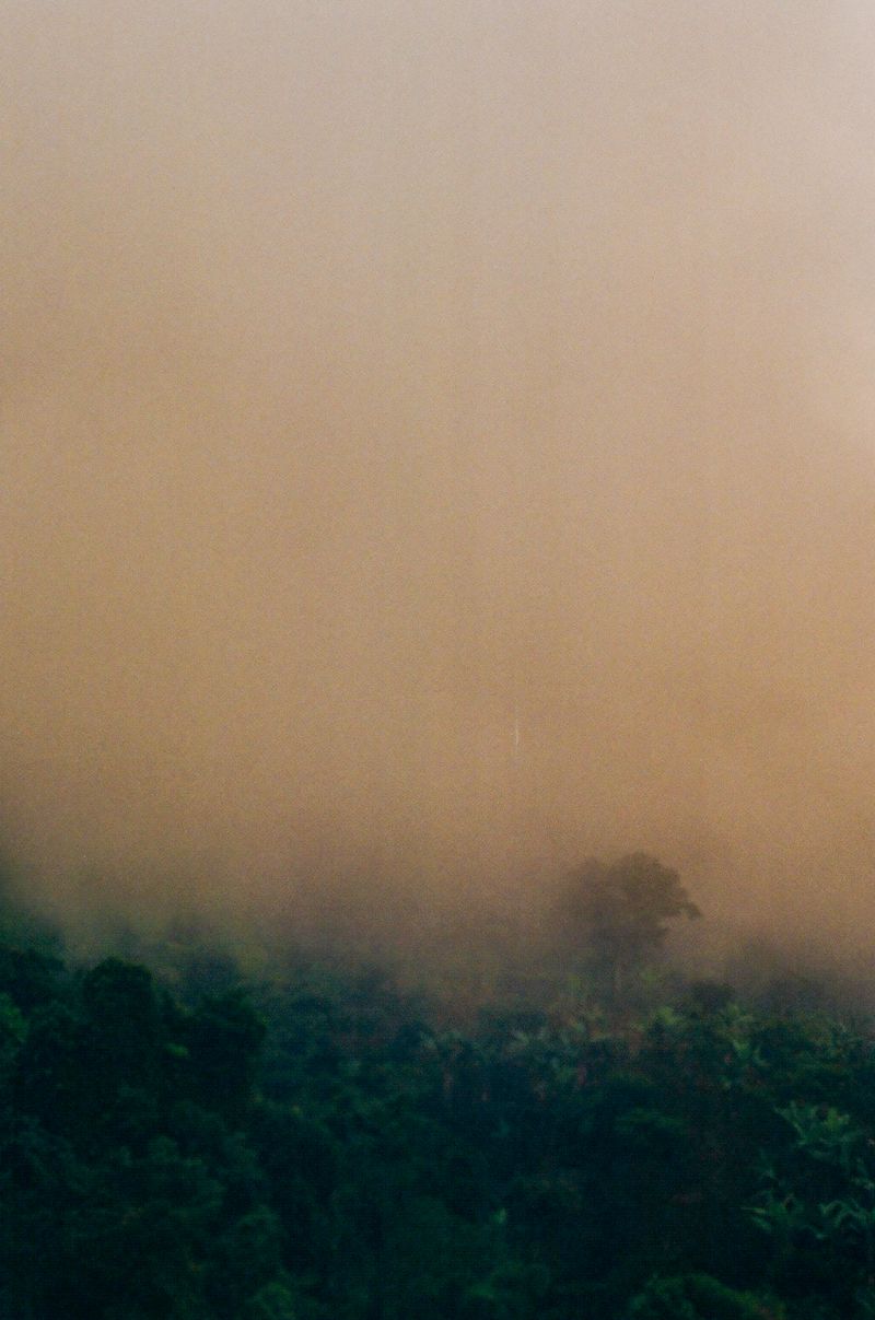 © matias cantella - Image from the Particulas photography project