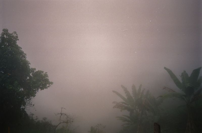 © matias cantella - Image from the Particulas photography project