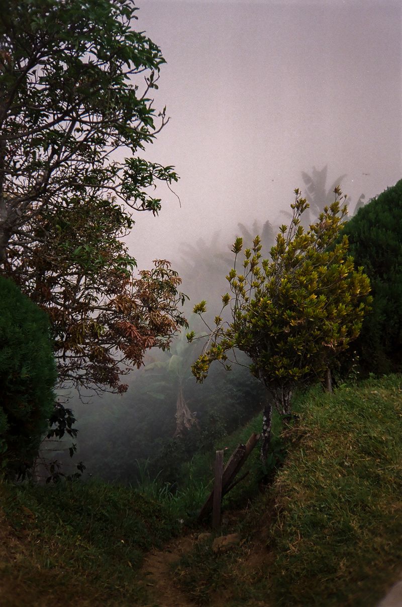 © matias cantella - Image from the Particulas photography project