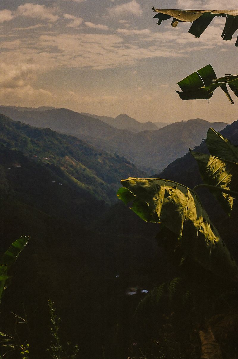 © matias cantella - Image from the Particulas photography project