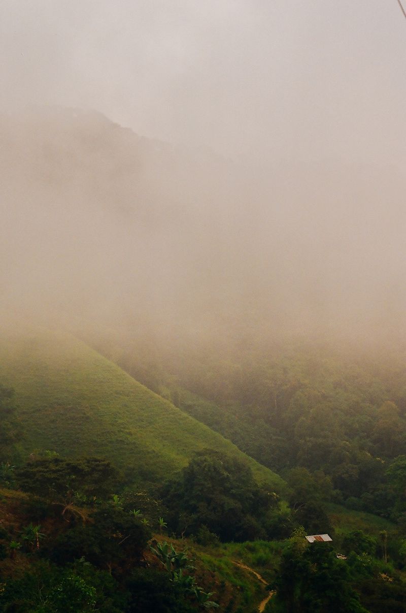 © matias cantella - Image from the Particulas photography project