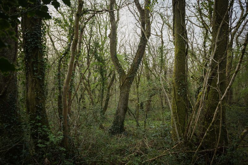 © Huw Alden Davies - Image from the Xennial: Dreaming in Colour photography project