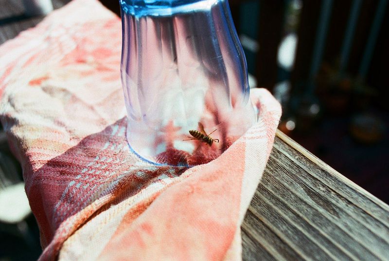 © Marissa Leitman - Image from the Lucky All the Time. photography project