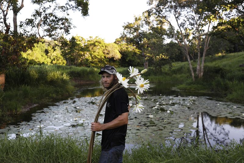 © Alexandra Nielsen - Quanah's waterlilies