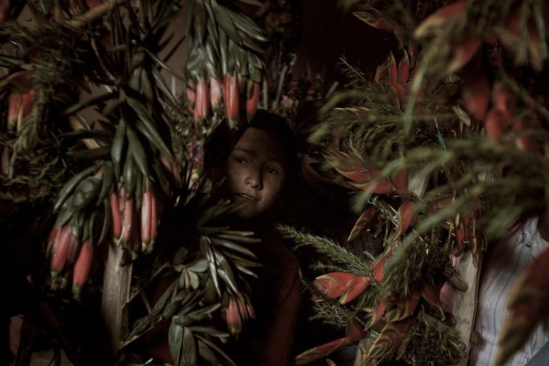 © Max Cabello Orcasitas - Image from the Chungui: Journey to the center of oblivion photography project