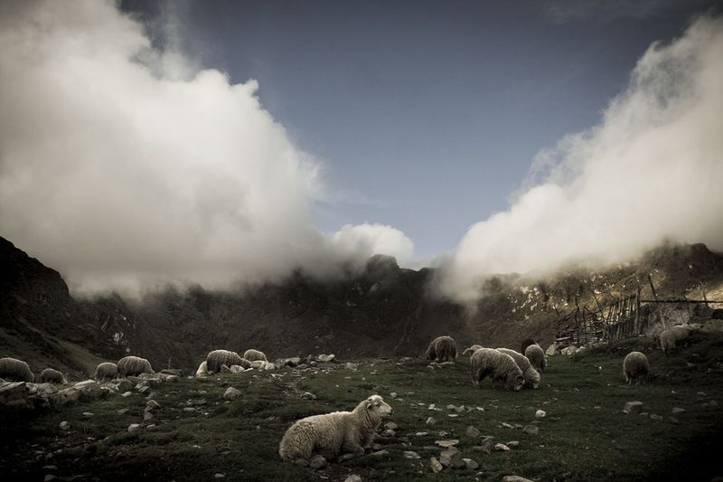 © Max Cabello Orcasitas - Chungui’s landscape.